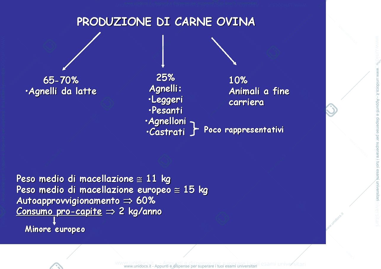 Anteprima pagina 1 — Tecniche allevamento Poligastrici- Carne piccoli ruminanti