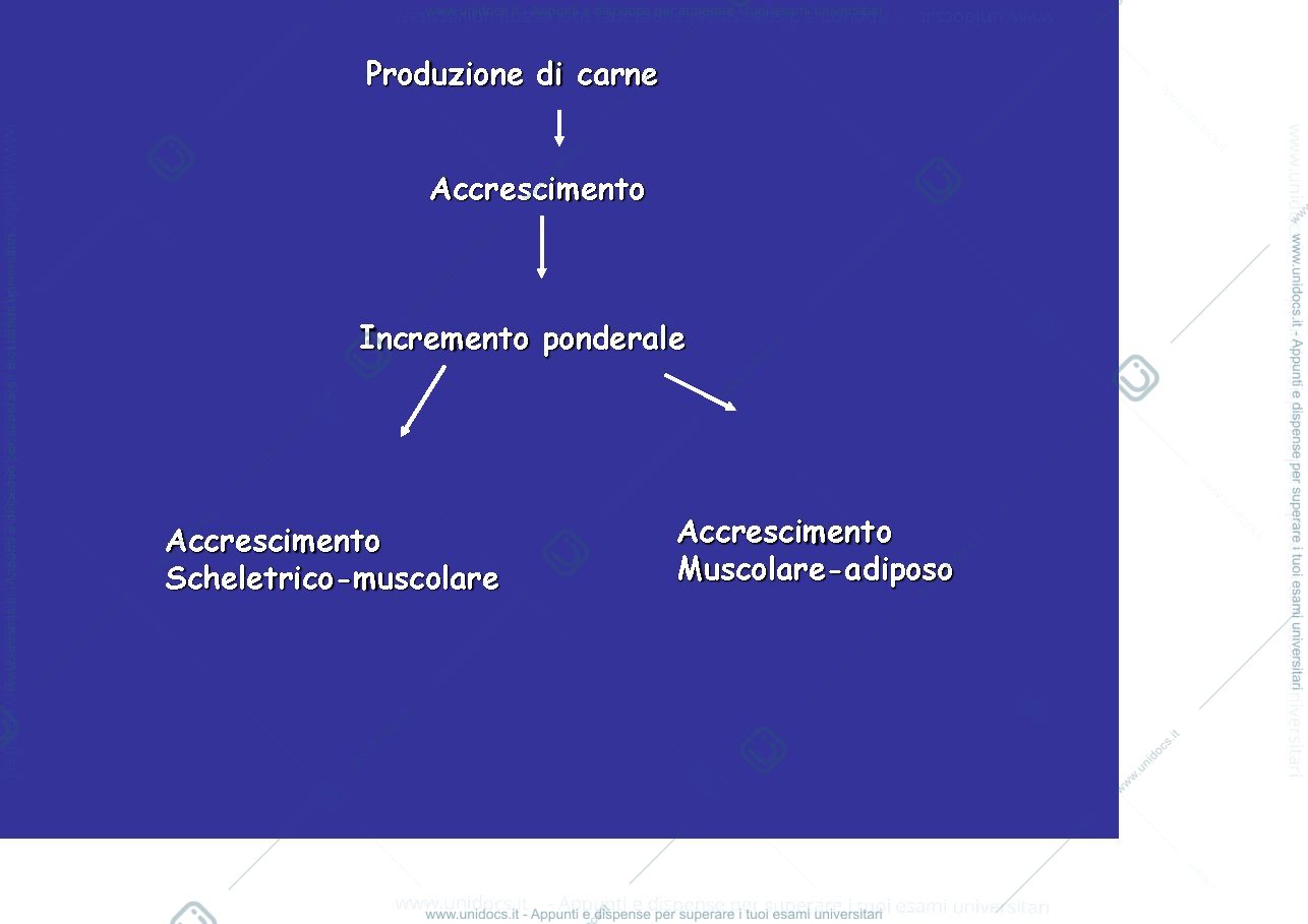 Anteprima pagina 2 — Tecniche allevamento Poligastrici- Carne piccoli ruminanti