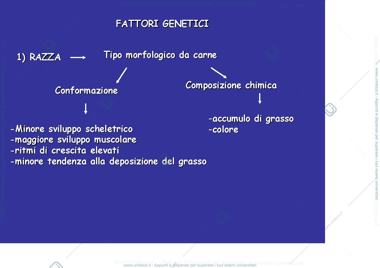 Anteprima pagina 4 — Tecniche allevamento Poligastrici- Carne piccoli ruminanti