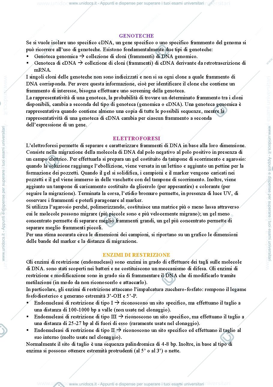 Anteprima pagina 1 — Tecnologie ricombinanti