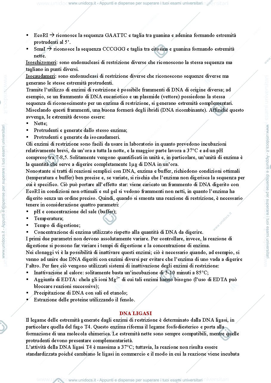 Anteprima pagina 2 — Tecnologie ricombinanti