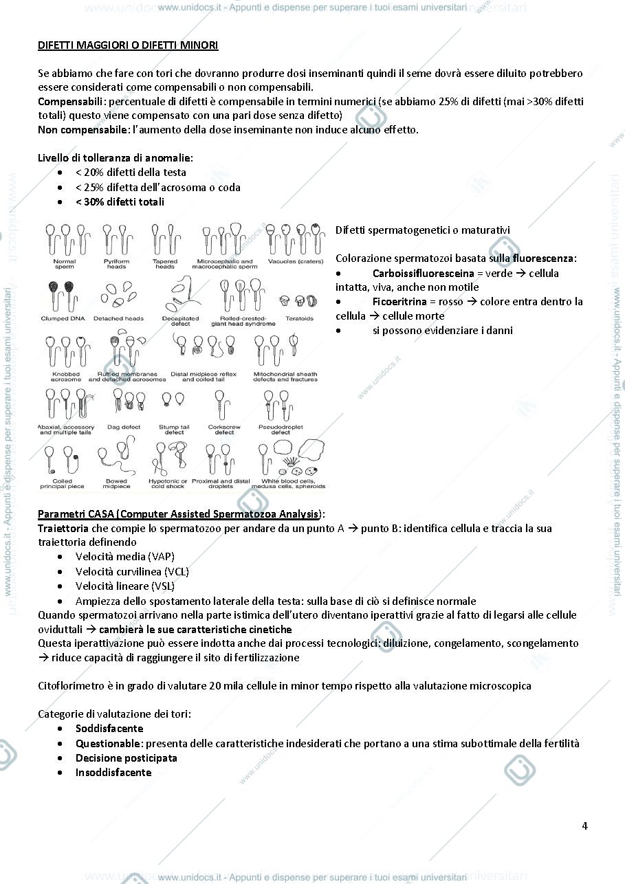 Anteprima pagina 4 — appunti tecnologie riproduttive