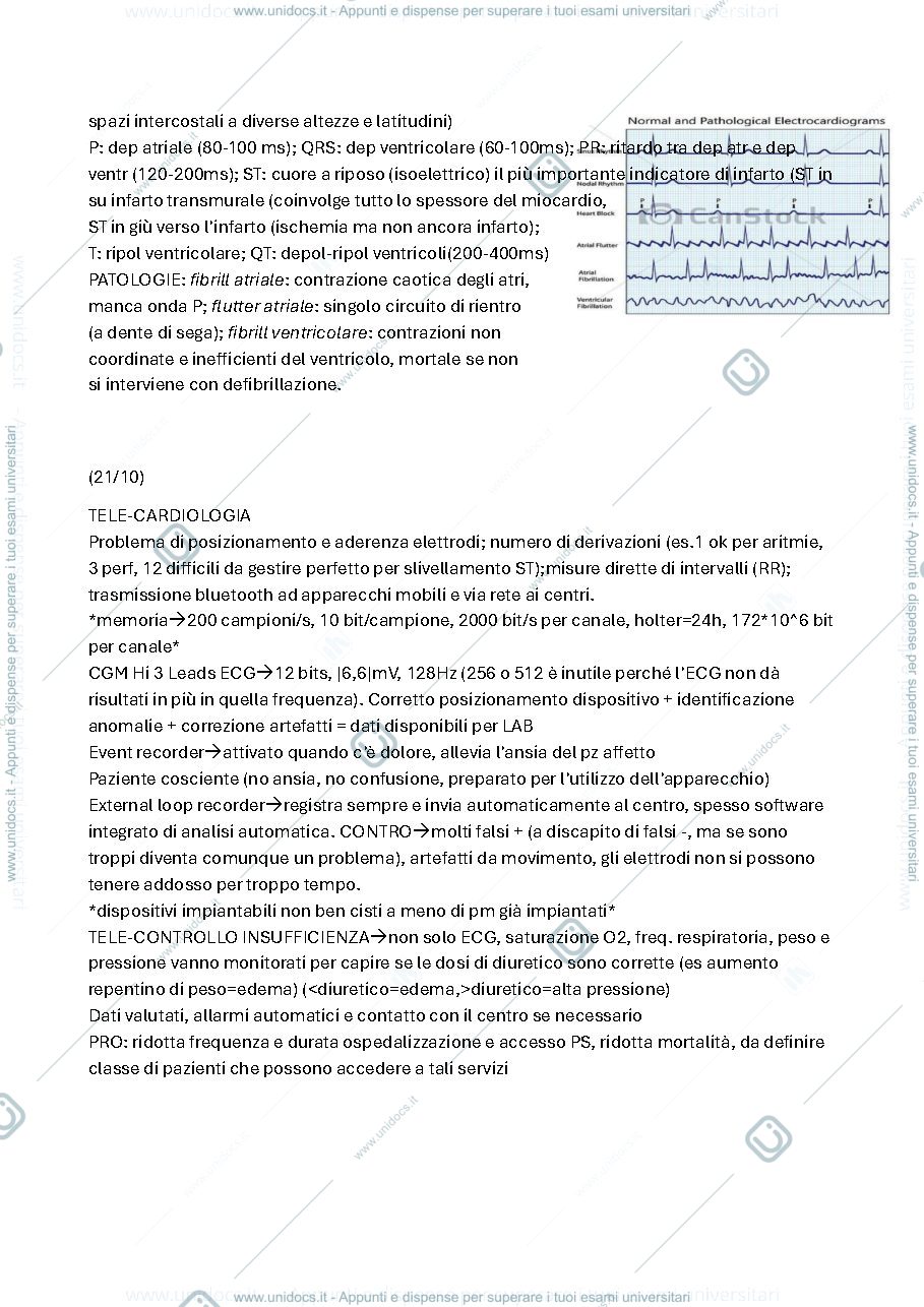 Anteprima pagina 3 — Lezioni Olmo 2024/2025
