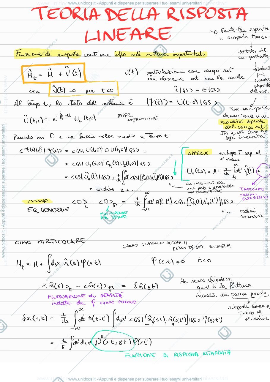 Anteprima pagina 1 — Teoria della risposta lineare