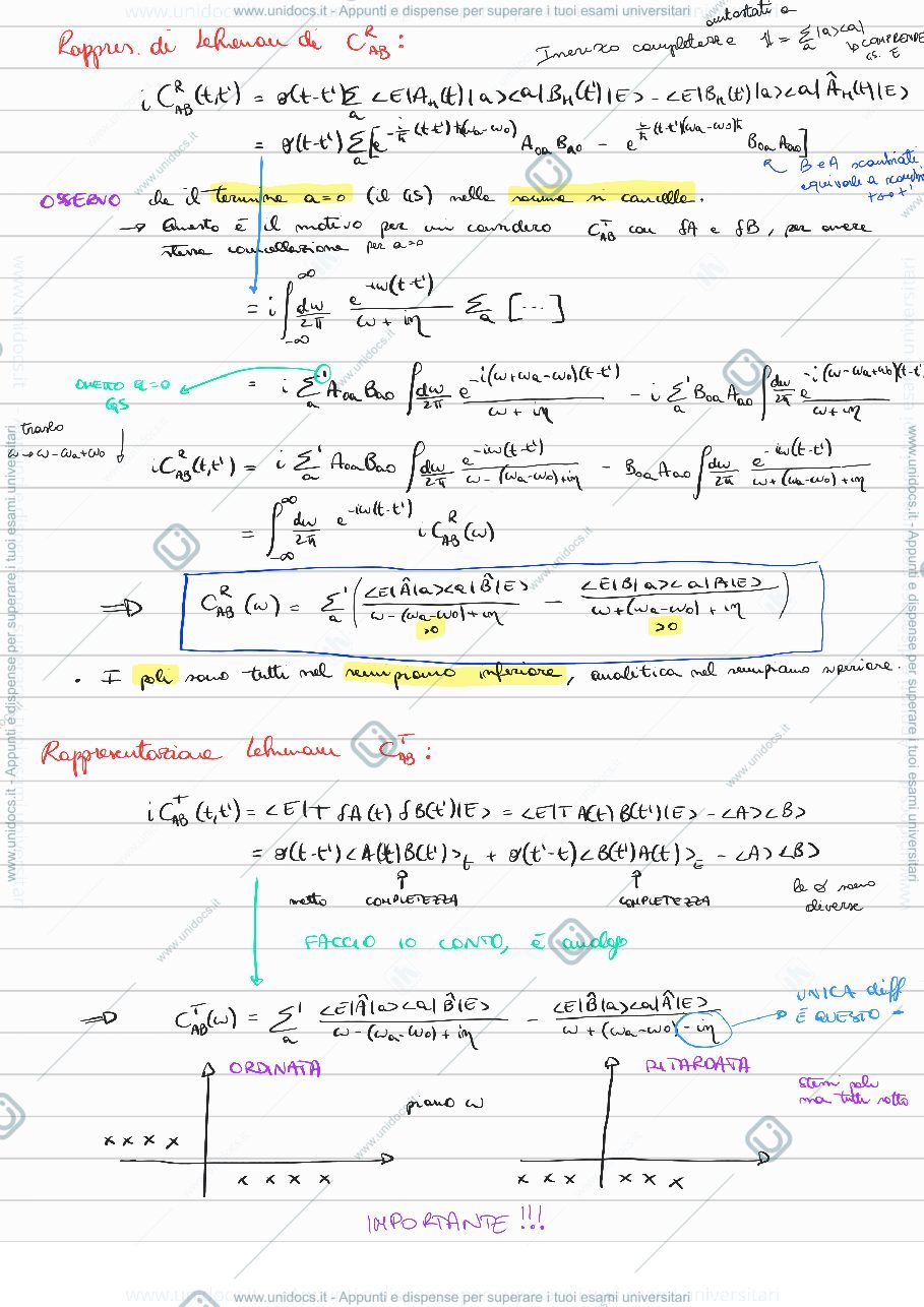 Anteprima pagina 3 — Teoria della risposta lineare