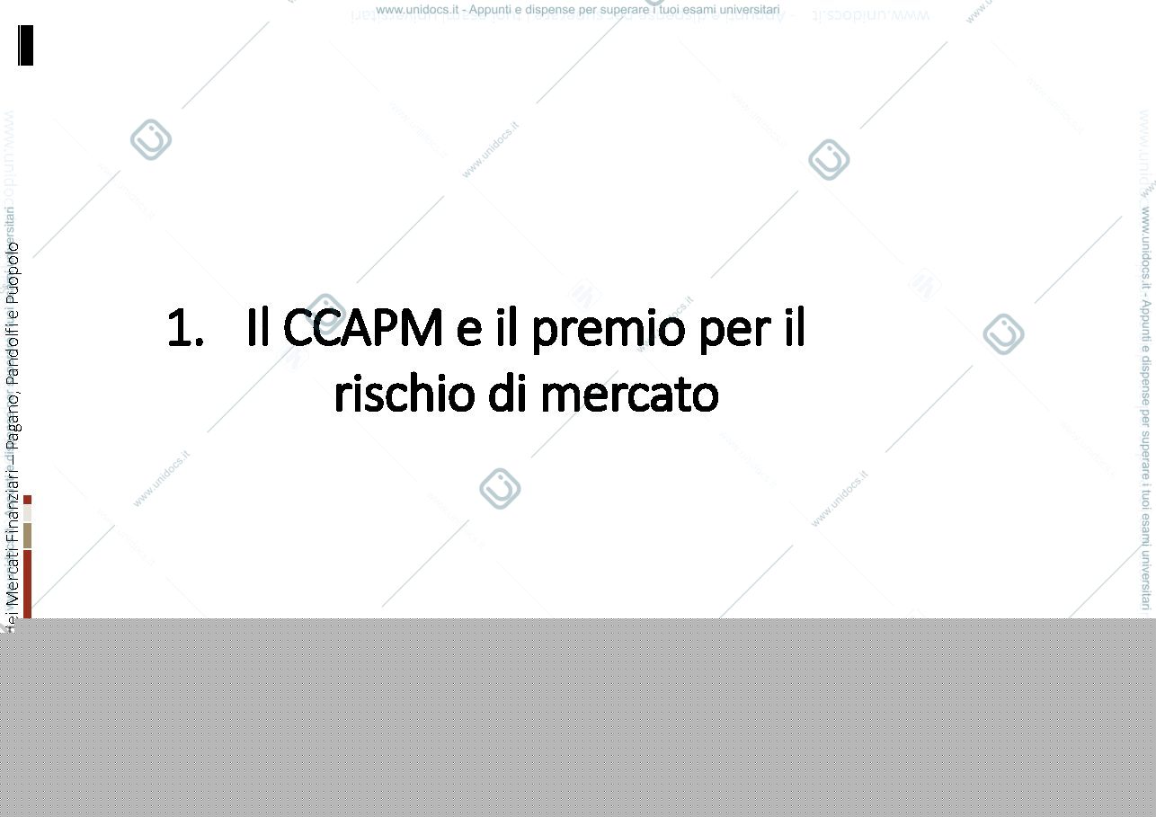 Anteprima pagina 3 — Enigma del premio per il rischio azionario 