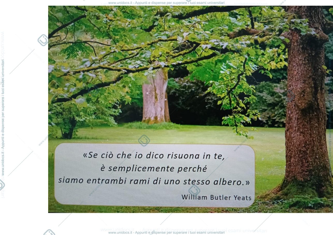 Anteprima pagina 5 — teoria e filosofia dell'assistenza ostetrica