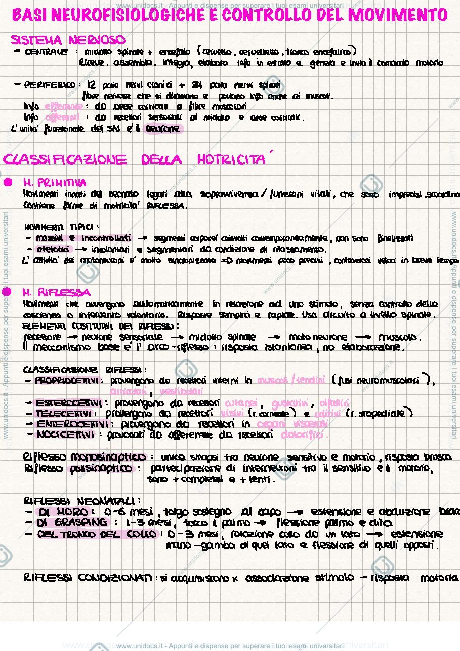 Anteprima pagina 3 — Appunti teoria e metodologia del movimento umano 