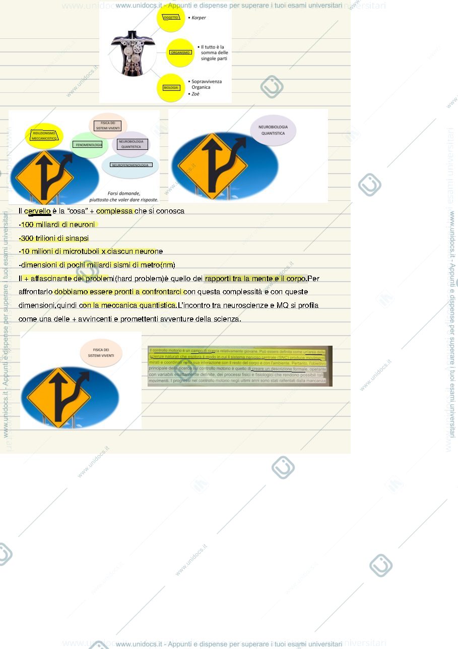 Anteprima pagina 4 — Teoria e metodologia del movimento umano