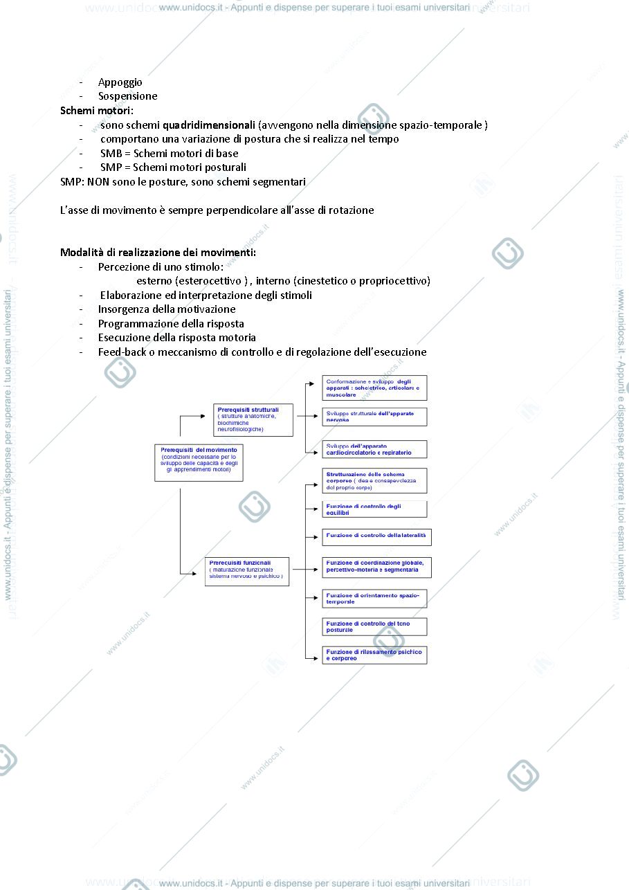 Anteprima pagina 3 — Teoria e metodologia del movimento umano