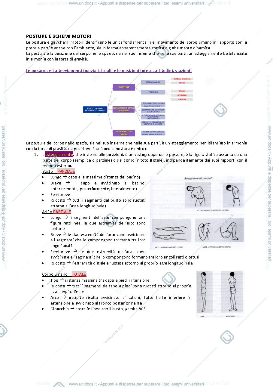 Anteprima pagina 2 — Teoria e metodologia del movimento umano 