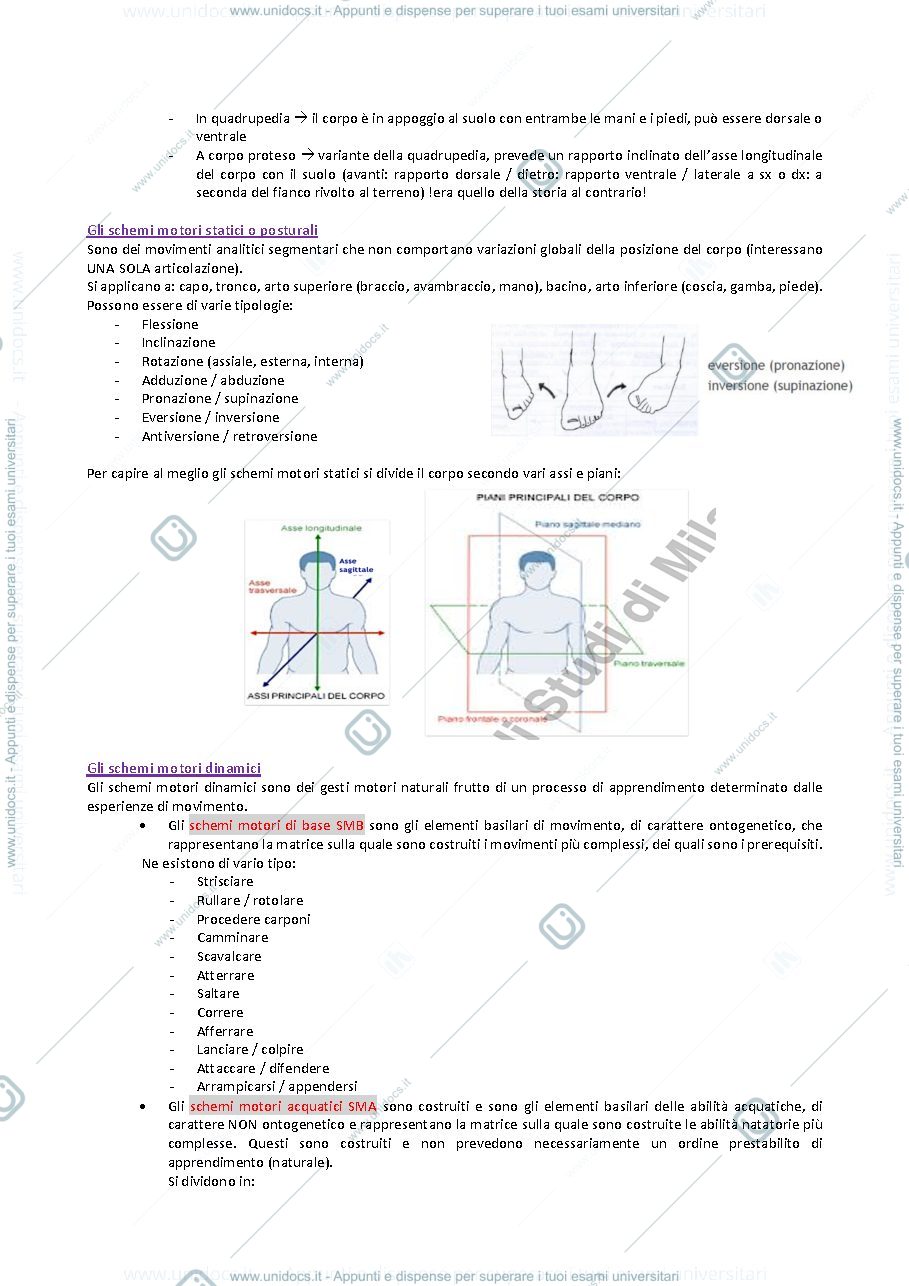 Anteprima pagina 4 — Teoria e metodologia del movimento umano 