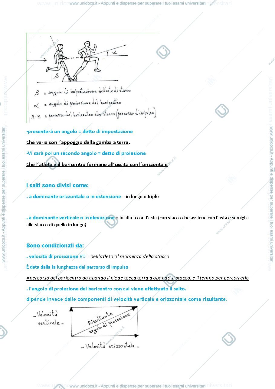 Anteprima pagina 4 — TMA Umili/Niccolini/Bastianini/Casarosa