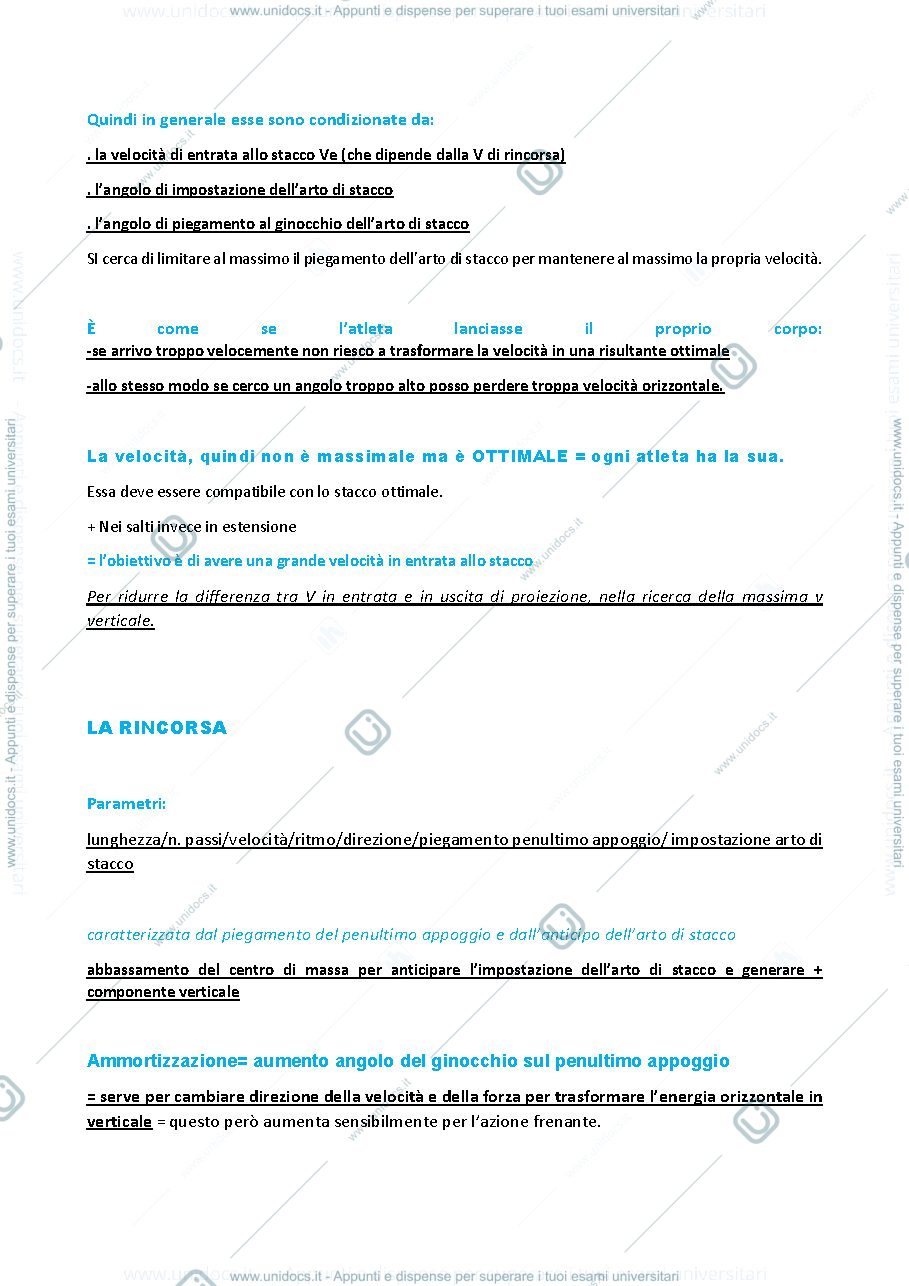 Anteprima pagina 5 — TMA Umili/Niccolini/Bastianini/Casarosa