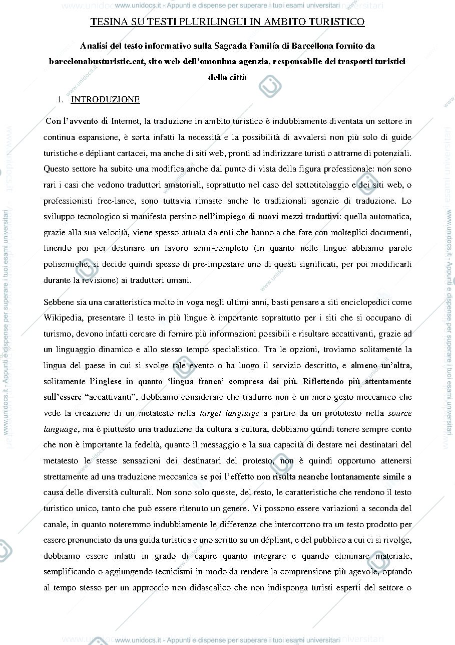 Anteprima pagina 1 — Tesina in ambito turistico