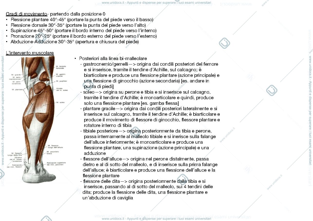 Anteprima pagina 3 — Teoria dell’età adulta 