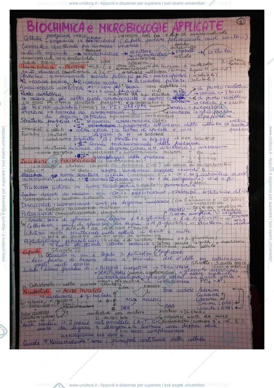 Anteprima pagina 1 — Riassunti Biochimica e microbiologie (73424)