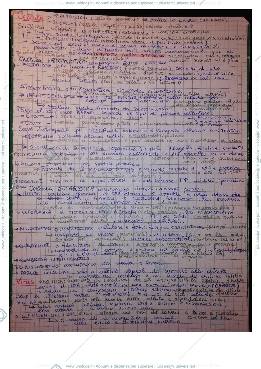 Anteprima pagina 2 — Riassunti Biochimica e microbiologie (73424)