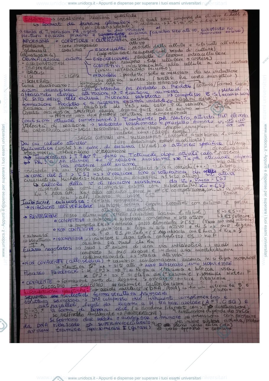 Anteprima pagina 3 — Riassunti Biochimica e microbiologie (73424)