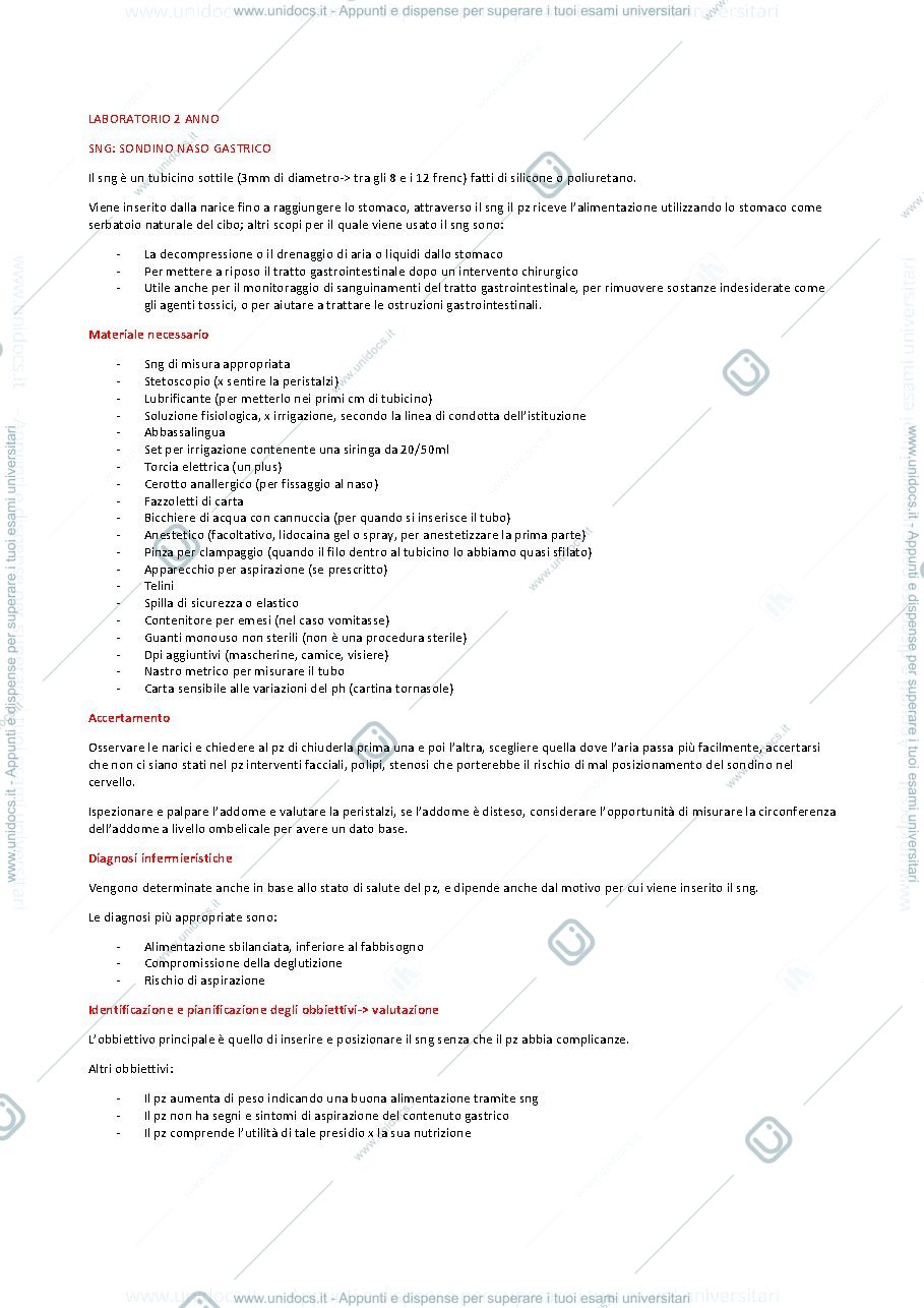 Anteprima pagina 1 — Laboratorio 2 anno