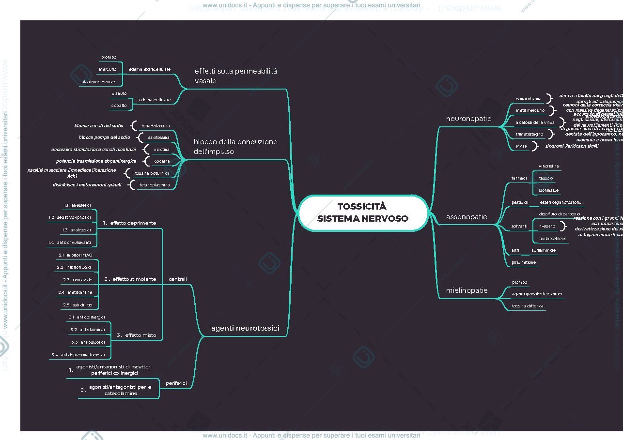 Anteprima pagina 1 — schema grafico tossicità sistema nervoso