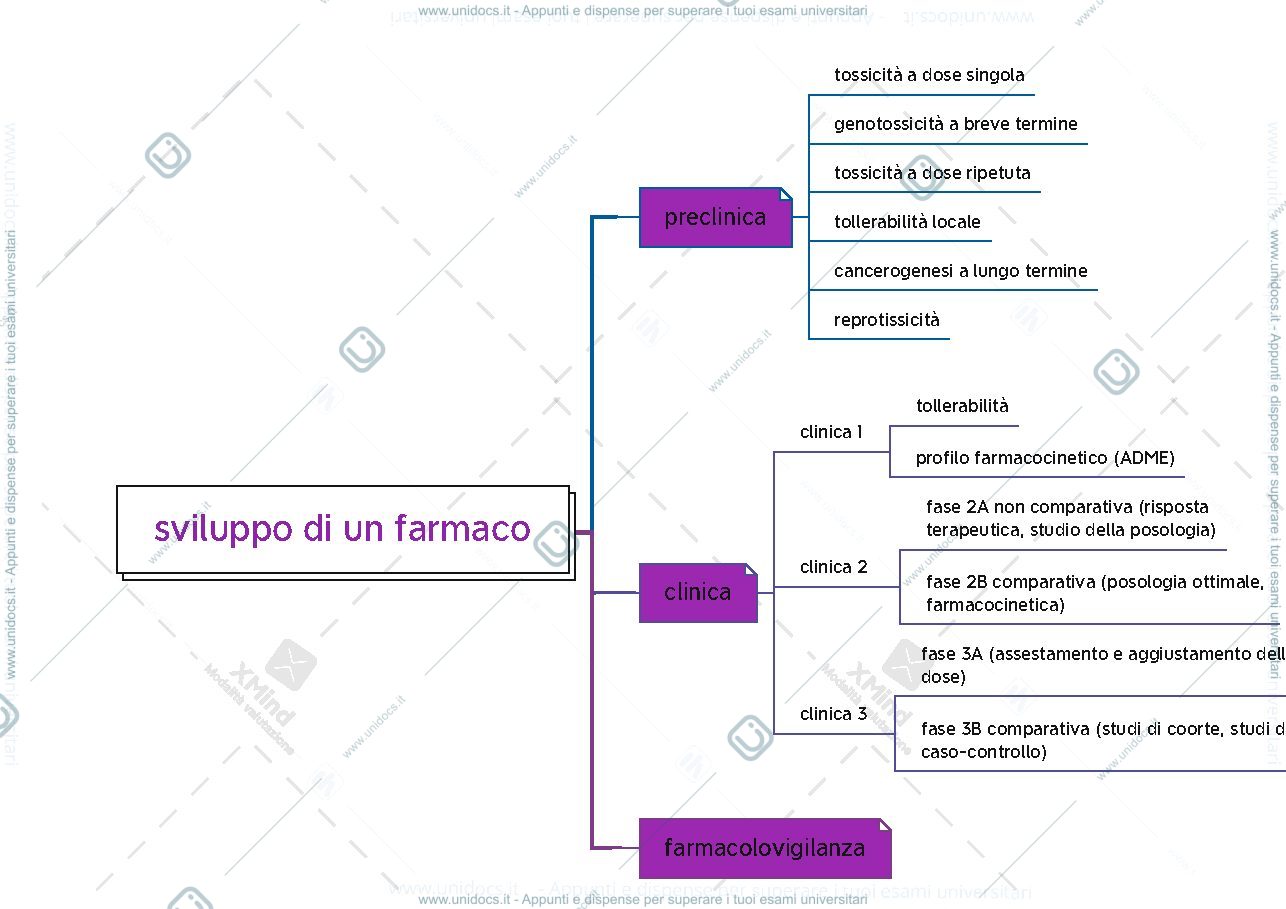 Anteprima pagina 1 — mappa mentale sviluppo di un farmaco