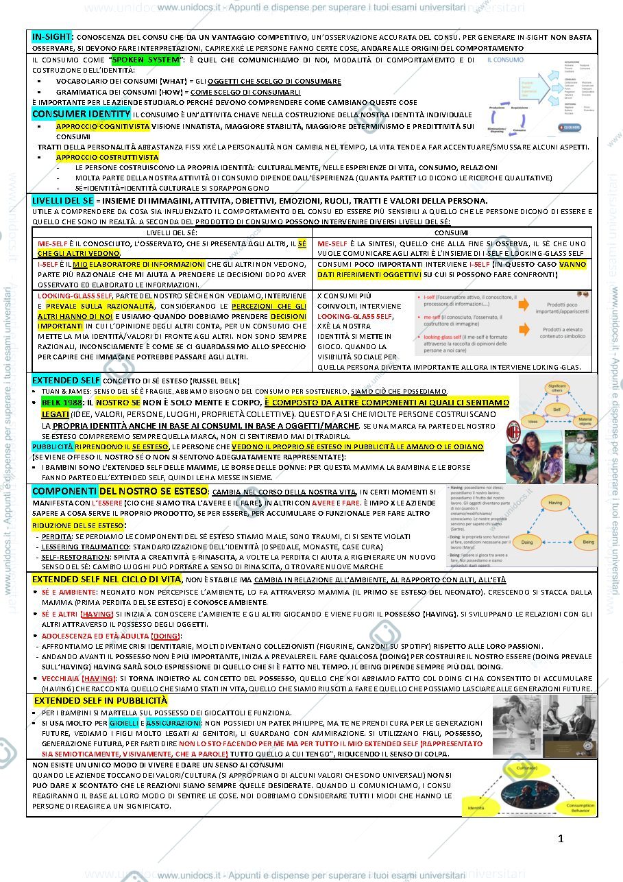 Anteprima pagina 1 — Understanding Consumer 2