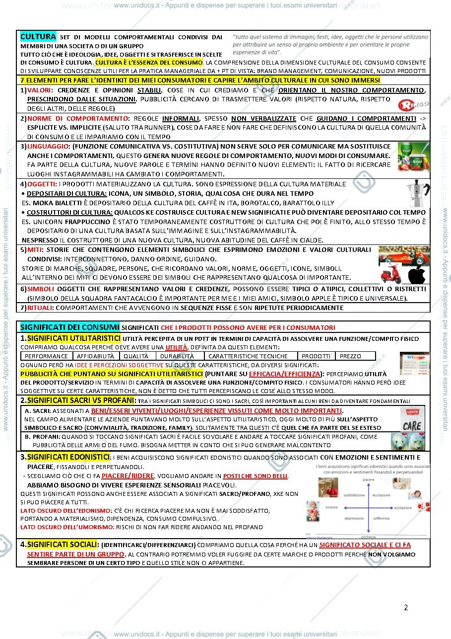 Anteprima pagina 2 — Understanding Consumer 2