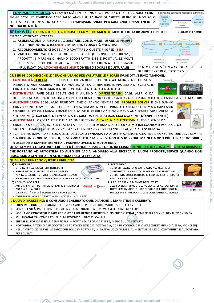 Anteprima pagina 3 — Understanding Consumer 2