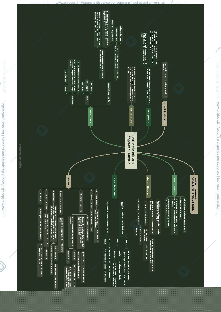Anteprima pagina 1 — ita- mind map- sistema urinario