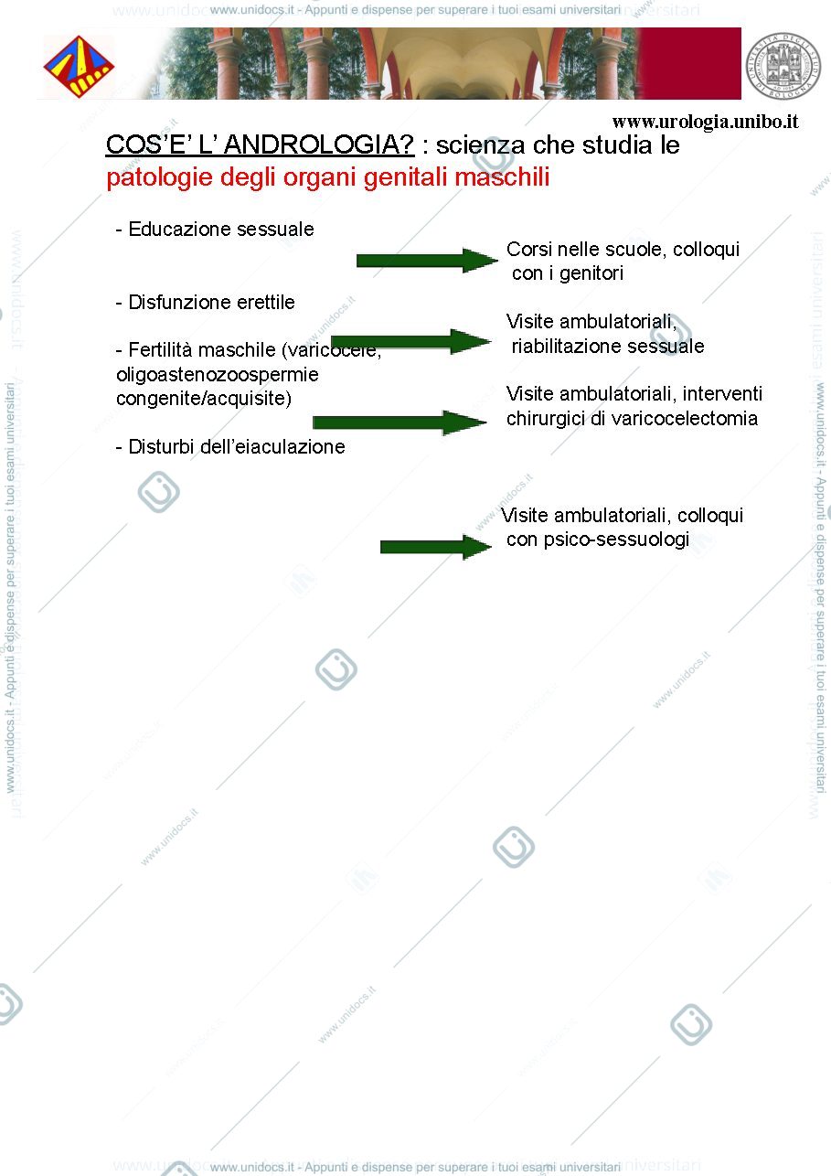 Anteprima pagina 2 — Urologia