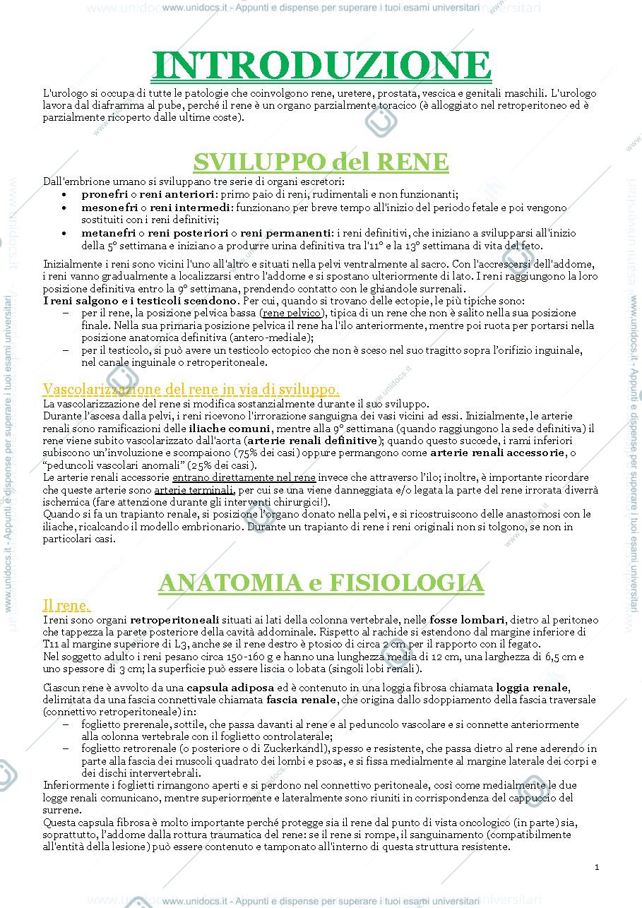 Anteprima pagina 1 — Schemi Urologia Bicocca 2021