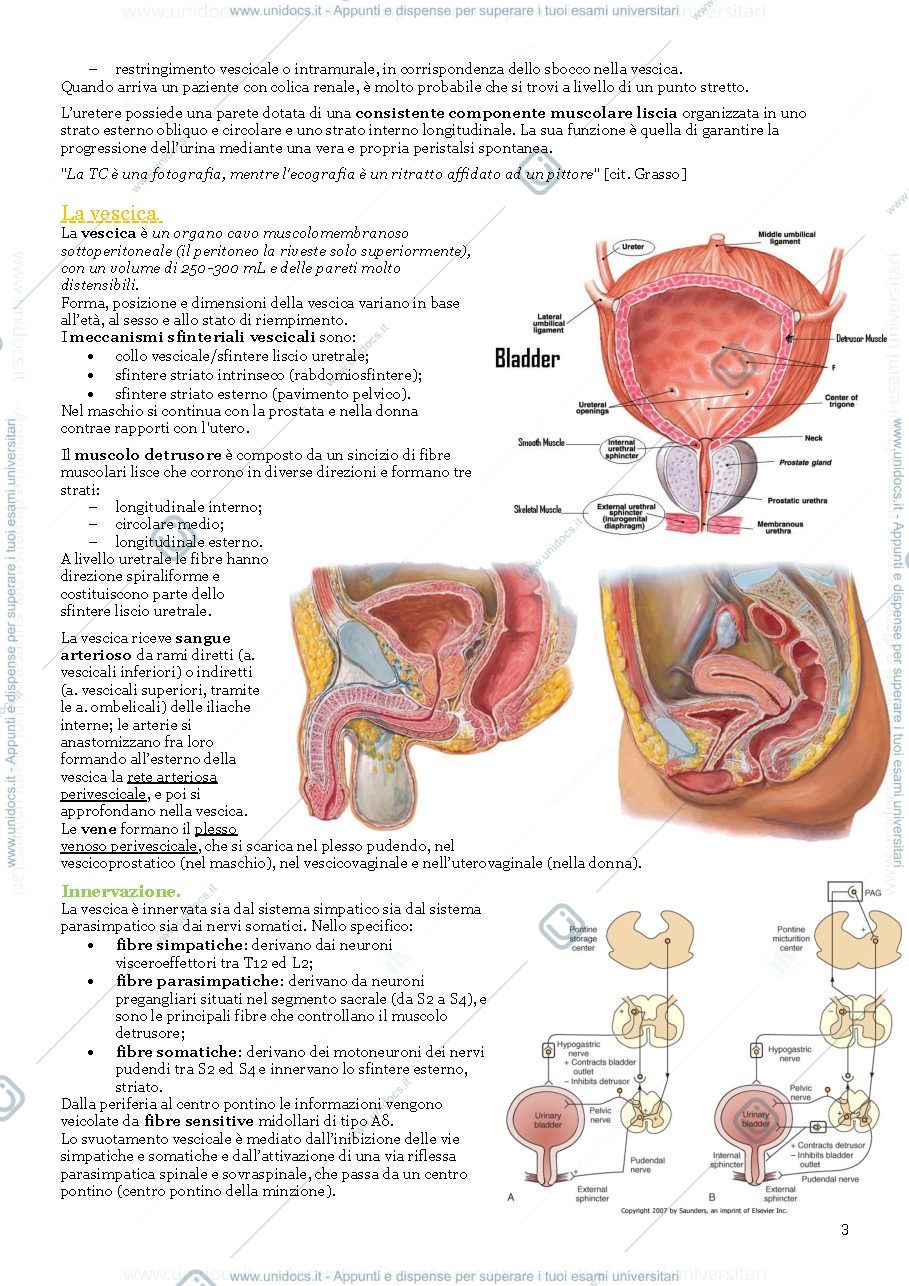 Anteprima pagina 3 — Schemi Urologia Bicocca 2021