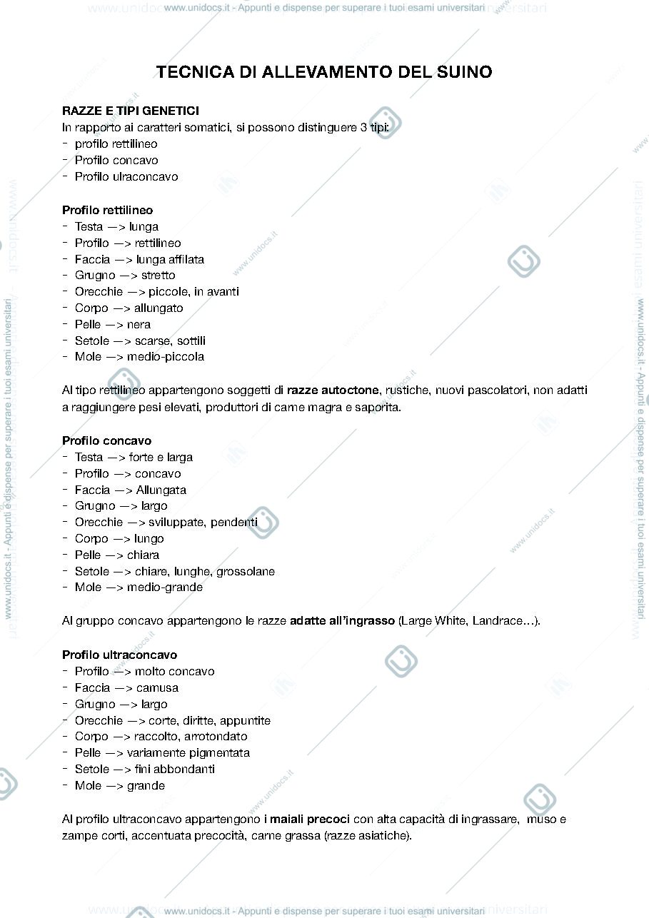 Anteprima pagina 1 — ALLEVAMENTO MORFOFUNZIONALE