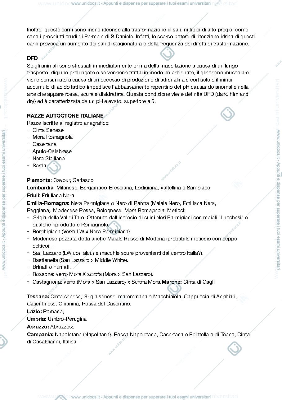 Anteprima pagina 4 — ALLEVAMENTO MORFOFUNZIONALE