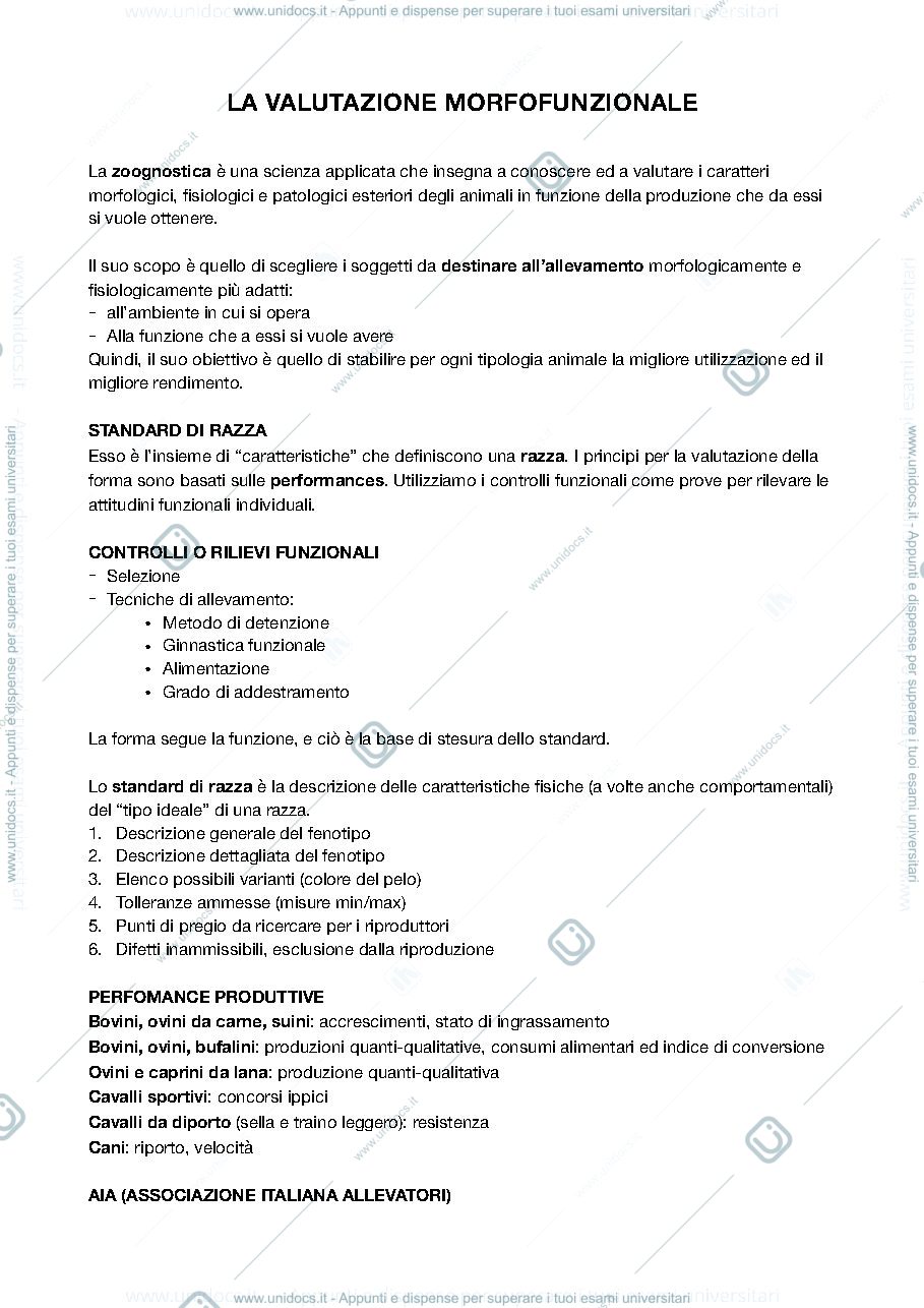 Anteprima pagina 5 — ALLEVAMENTO MORFOFUNZIONALE