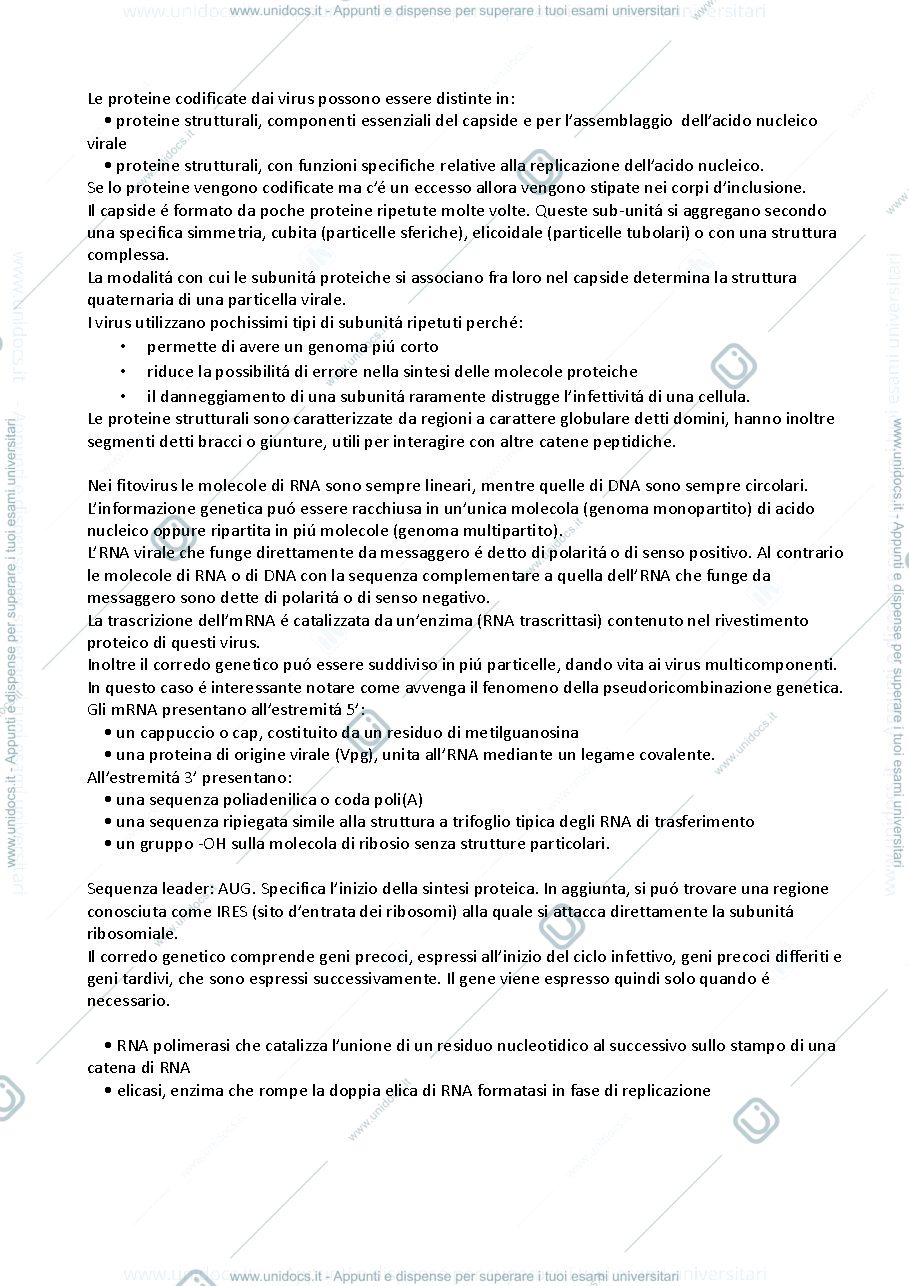 Anteprima pagina 1 — riassunti virologia