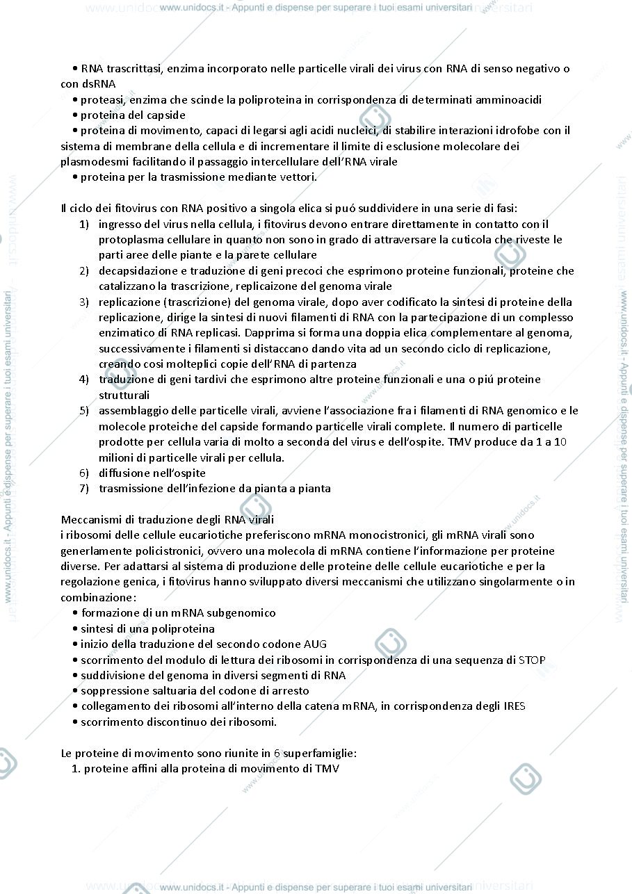 Anteprima pagina 2 — riassunti virologia