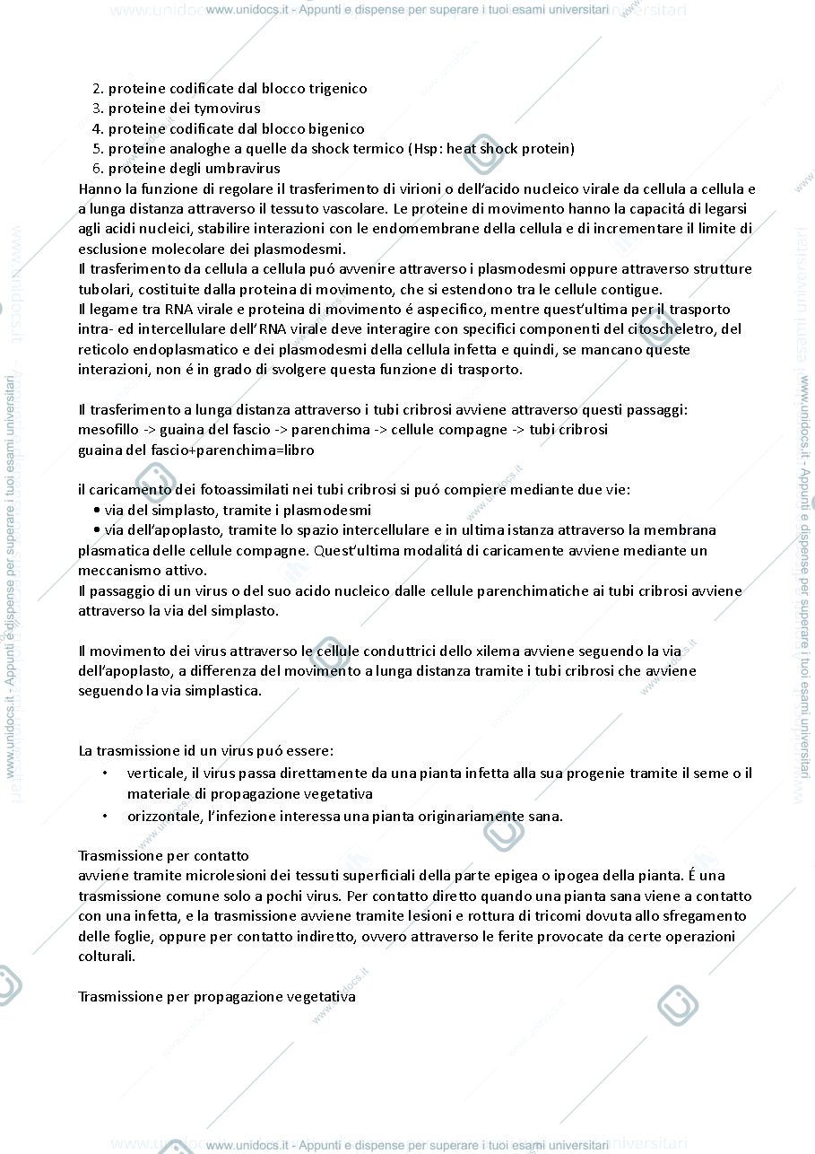 Anteprima pagina 3 — riassunti virologia