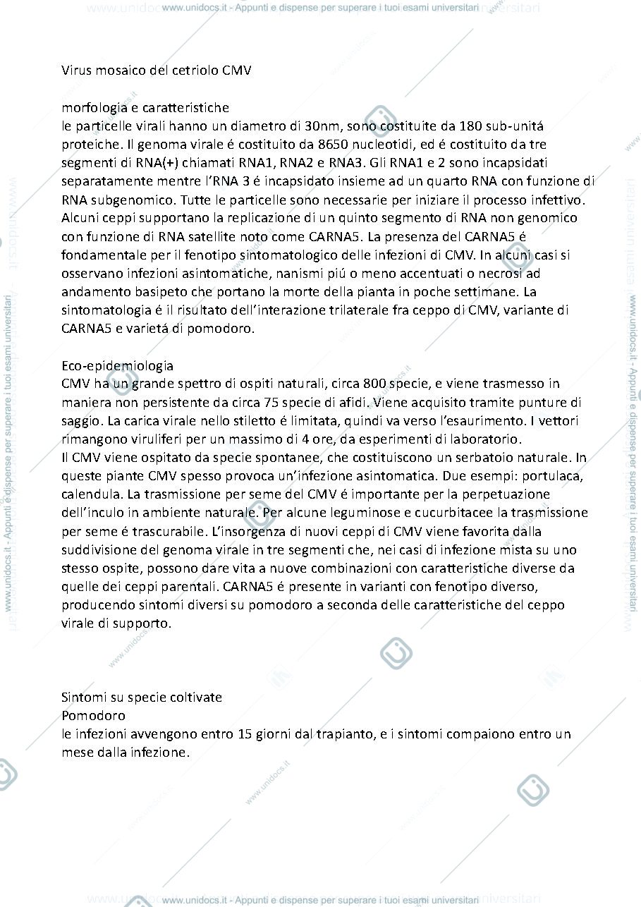 Anteprima pagina 1 — virus da sapere