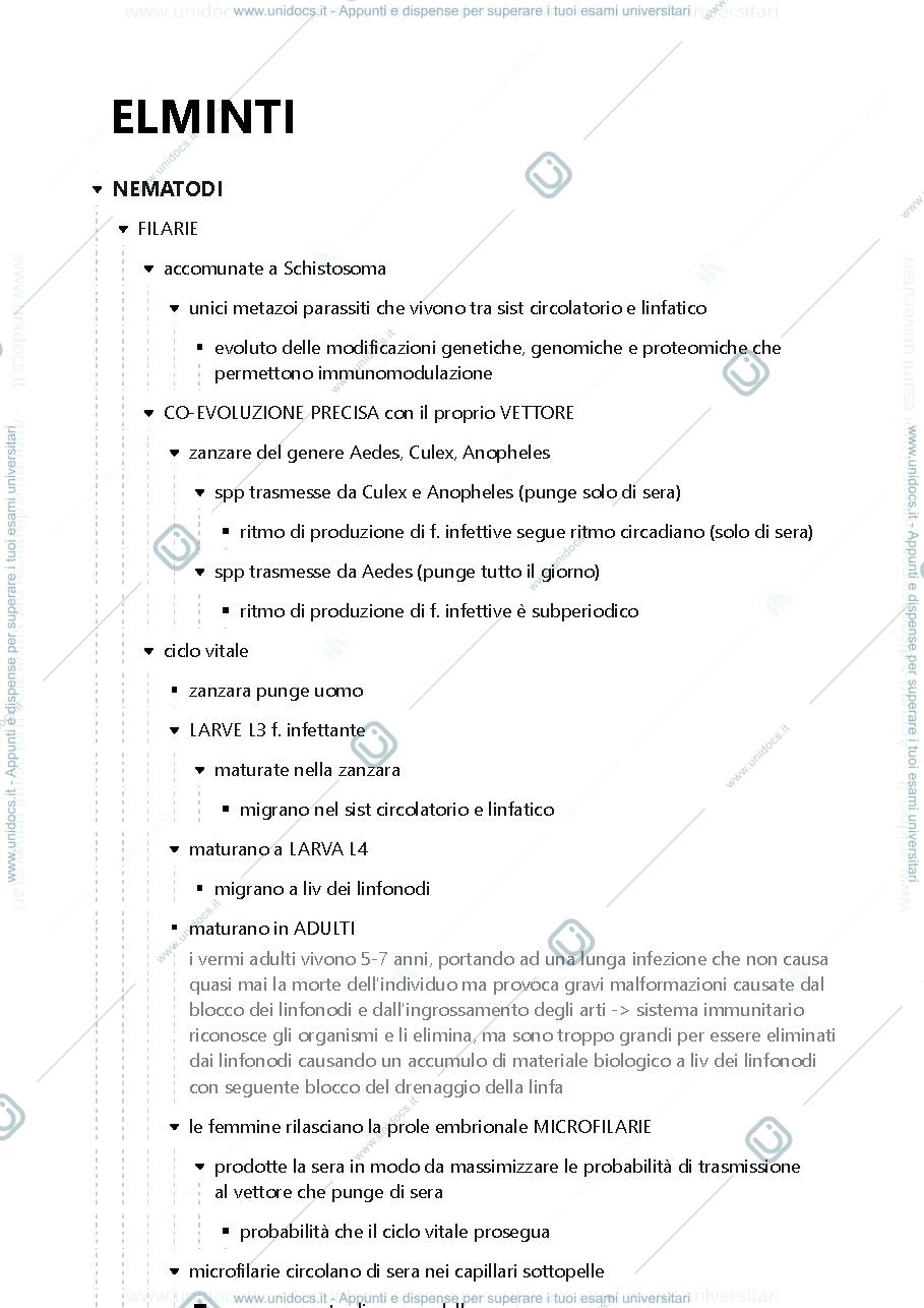 Anteprima pagina 1 — Elminti