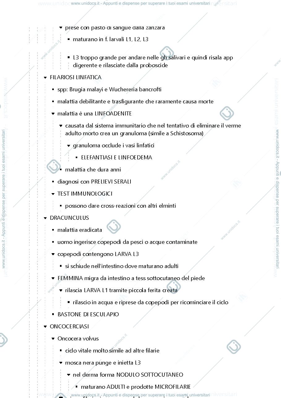 Anteprima pagina 2 — Elminti
