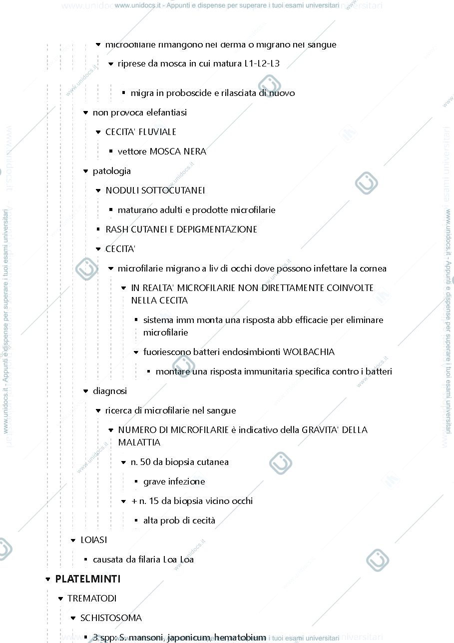 Anteprima pagina 3 — Elminti