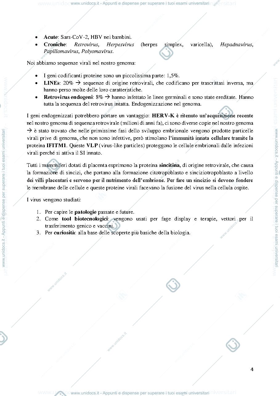 Anteprima pagina 4 — Appunti di Virologia molecolare