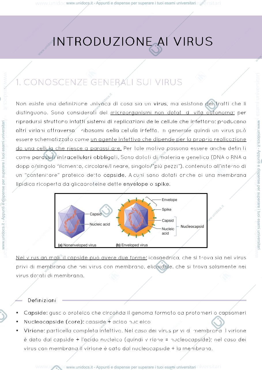 Anteprima pagina 3 — Dispensa virologia molecolare