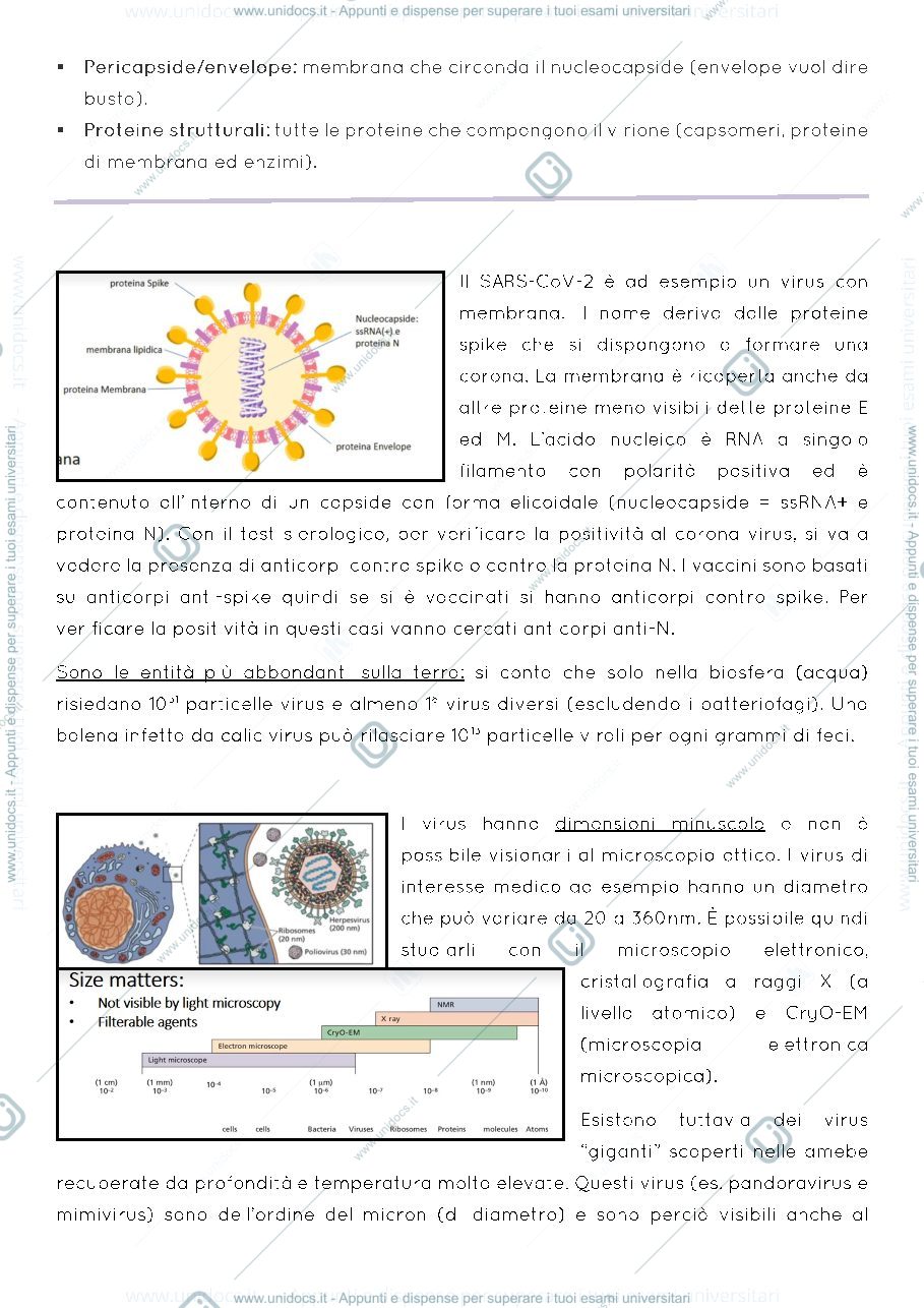 Anteprima pagina 4 — Dispensa virologia molecolare