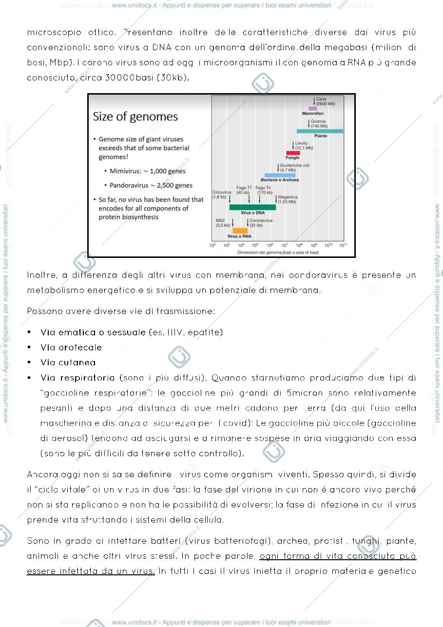 Anteprima pagina 5 — Dispensa virologia molecolare