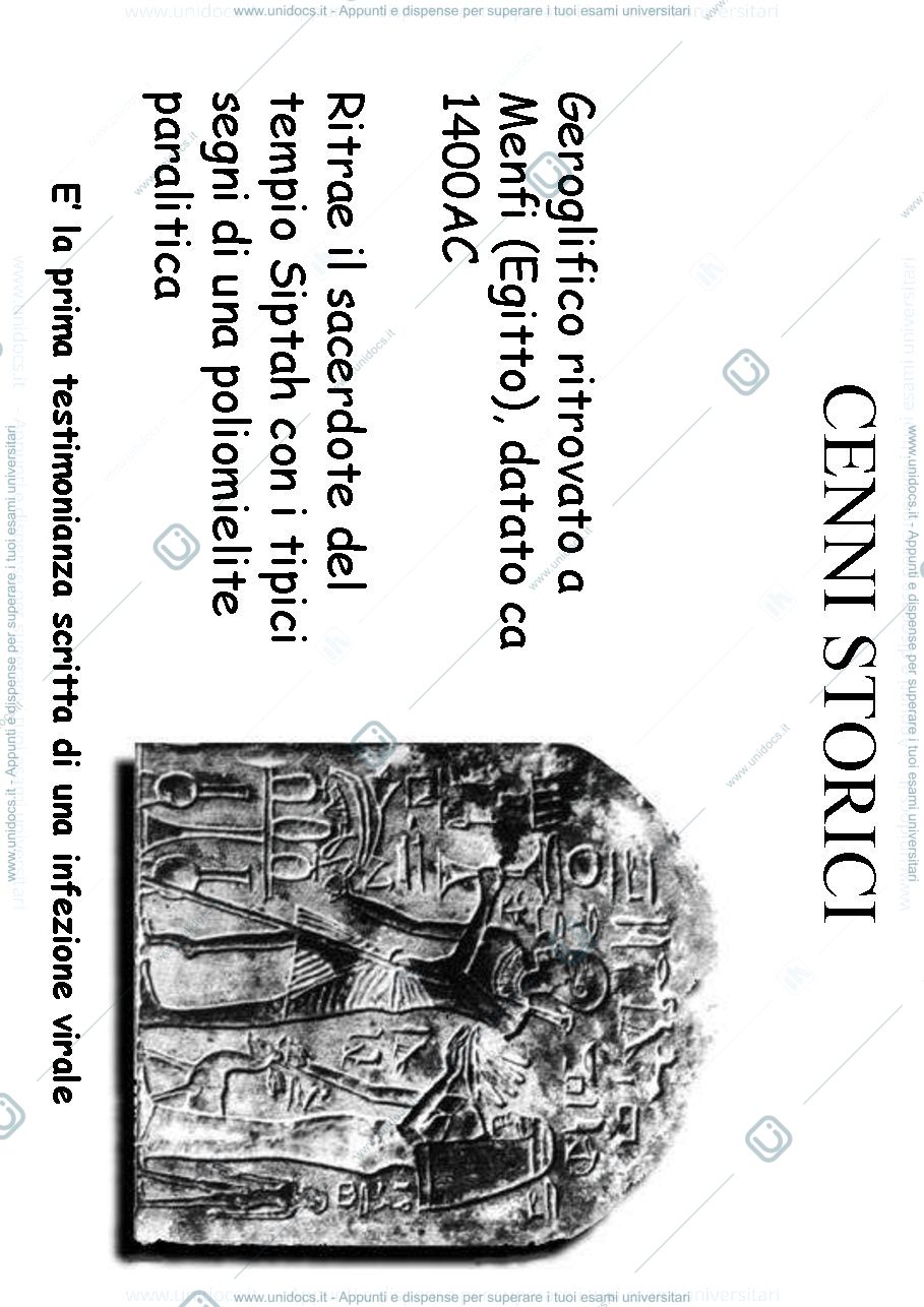 Anteprima pagina 3 — Virologia