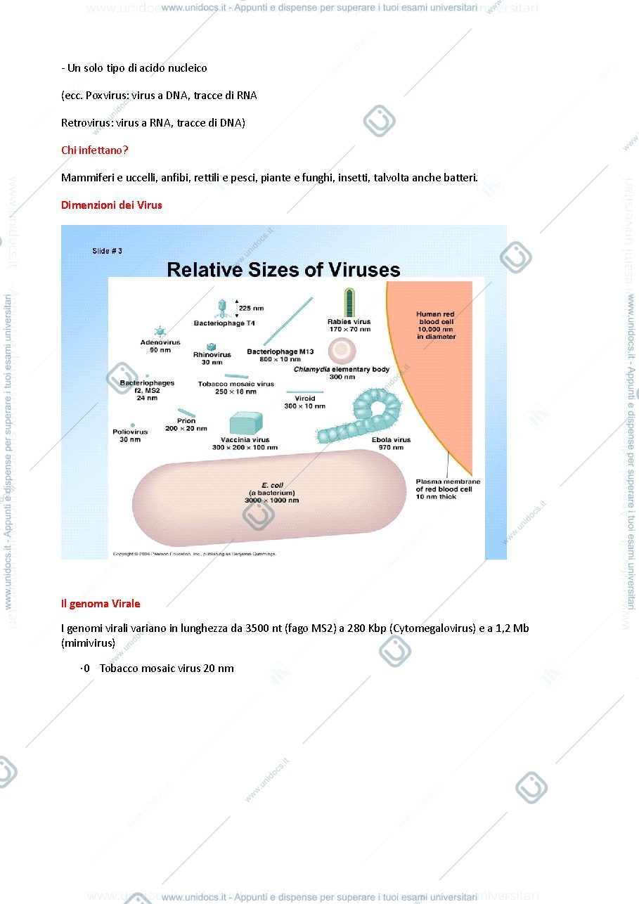 Anteprima pagina 2 — Virologia