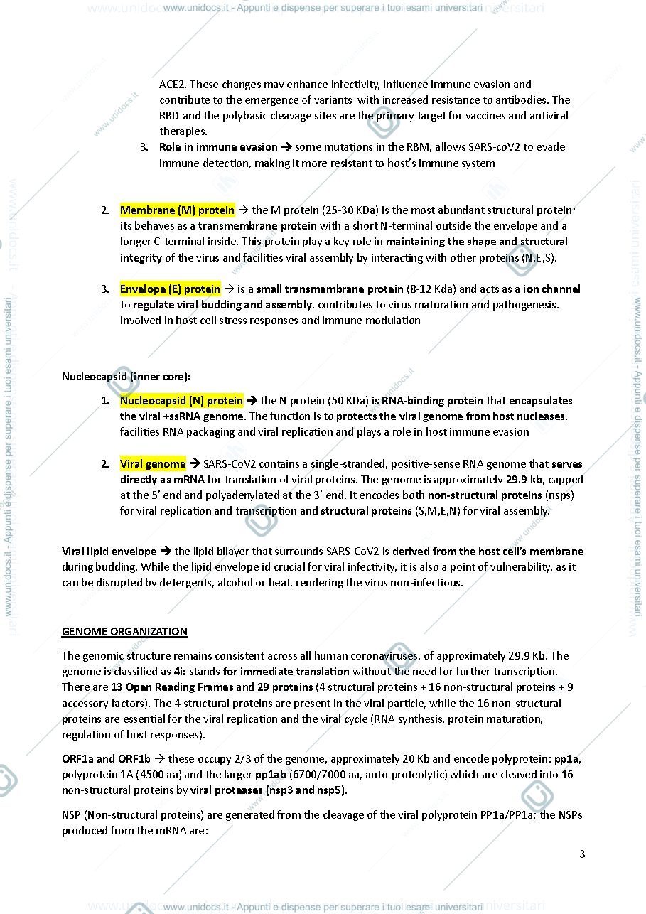 Anteprima pagina 3 — VIROLOGY 